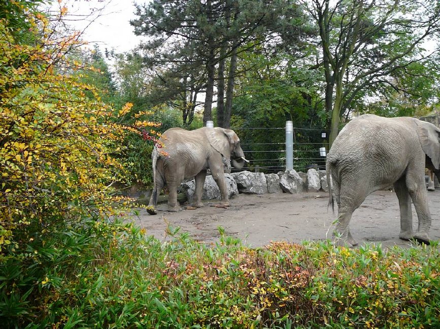 tn_P1010770.JPG