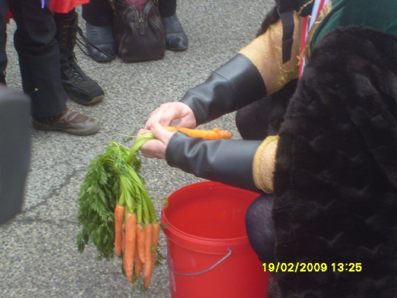 S7002595.JPG