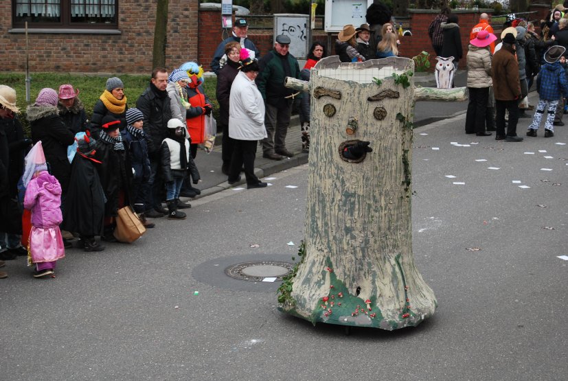 DSC_0323.JPG