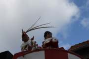 IMG_8684.JPG